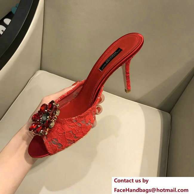 Dolce  &  Gabbana Heel 7cm Slippers Red In Lace With Crystals 2018